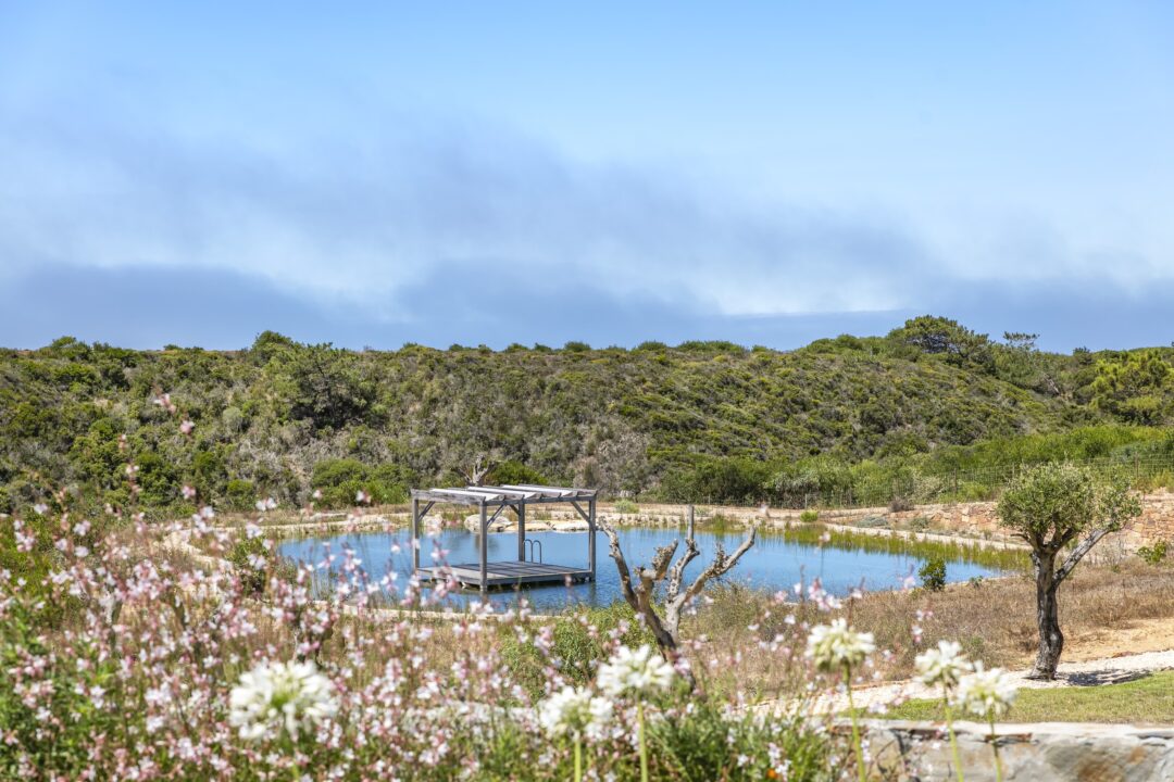 The Ocean Farm | BOAZ Rentals Portugal